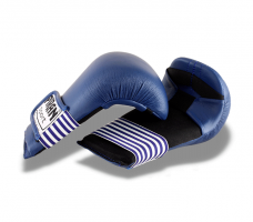 Tréninkové boxerské rukavice - Profi