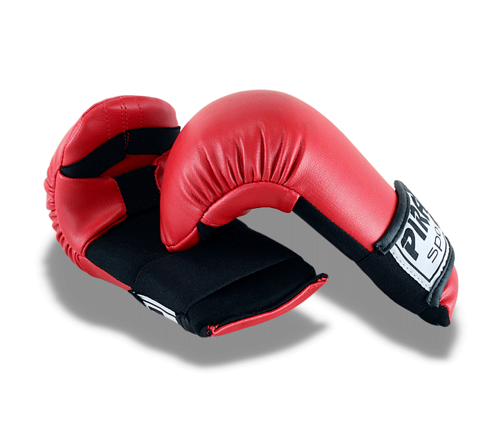 Tréninkové boxerské rukavice - Profi